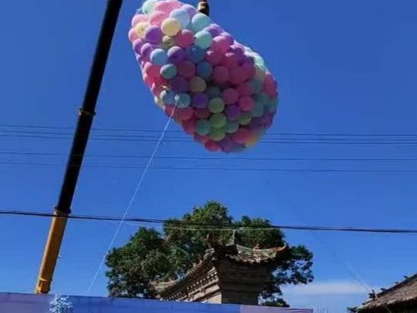 马尾区吊车租赁_专业的吊车租赁